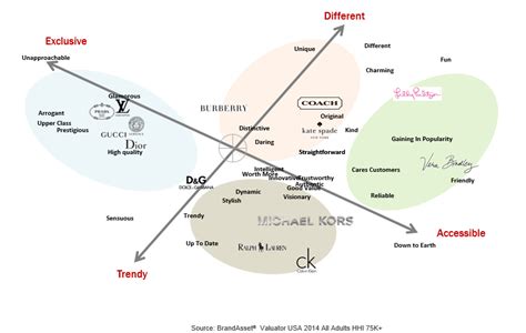 luxury fashion brand positioning map michael kors|michael kors market segments.